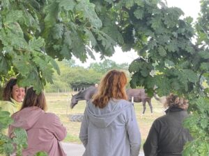 Athena Herd EFL Course work